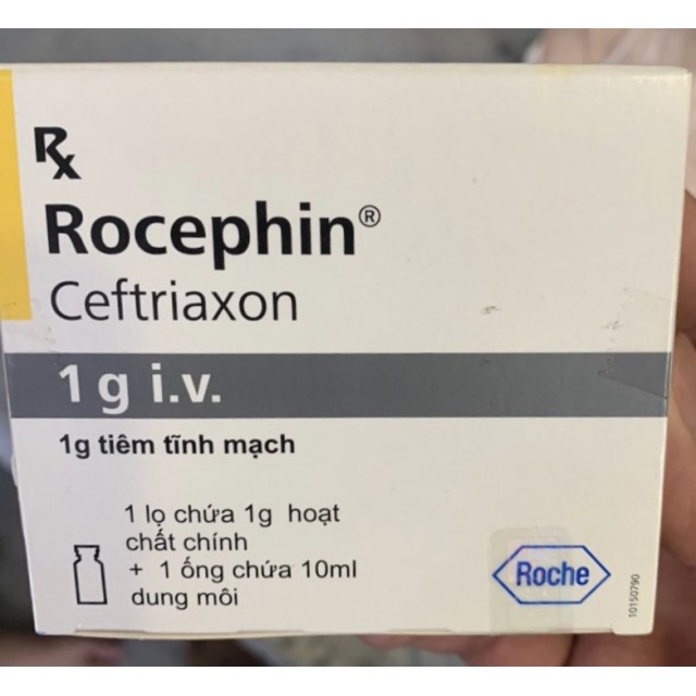 Rocephin 1g IV H/1lọ