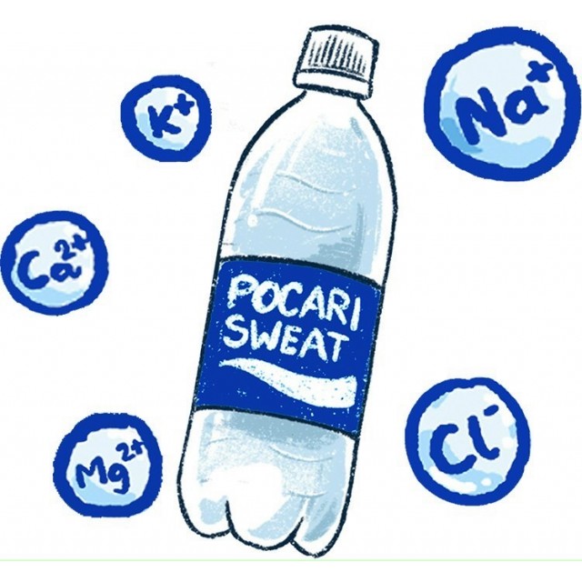 Pocari Sweat 500 ml Thùng 24 chai ( NƯỚC UỐNG BỔ SUNG ION )