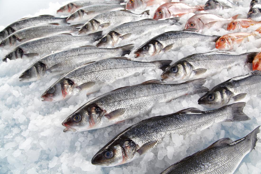 Nghiên cứu cho thấy, ăn cá sống lâu hơn