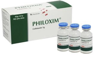 Philoxim 1g Inj H/10 lọ ( Cefotaxime 1000mg) ( điều trị những bệnh khuẩn nặng và nguy kịch)