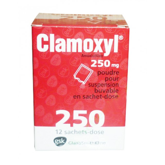 CLAMOXYL SAC 250MG H/12 gói