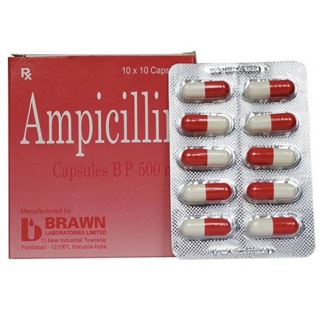 Ampicillin 500mg BBraun H/100 viên (Điều trị nhiễm khuẩn)