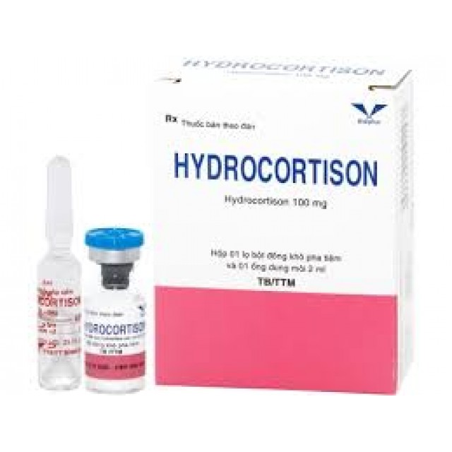HydrocorTison Inj 100mg H/1lo