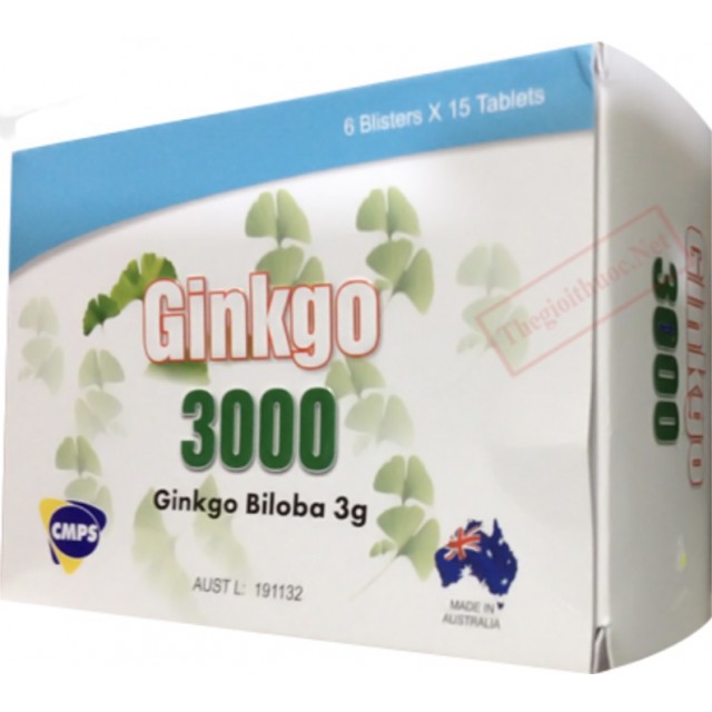 Ginkgo 3000 H/90 viên