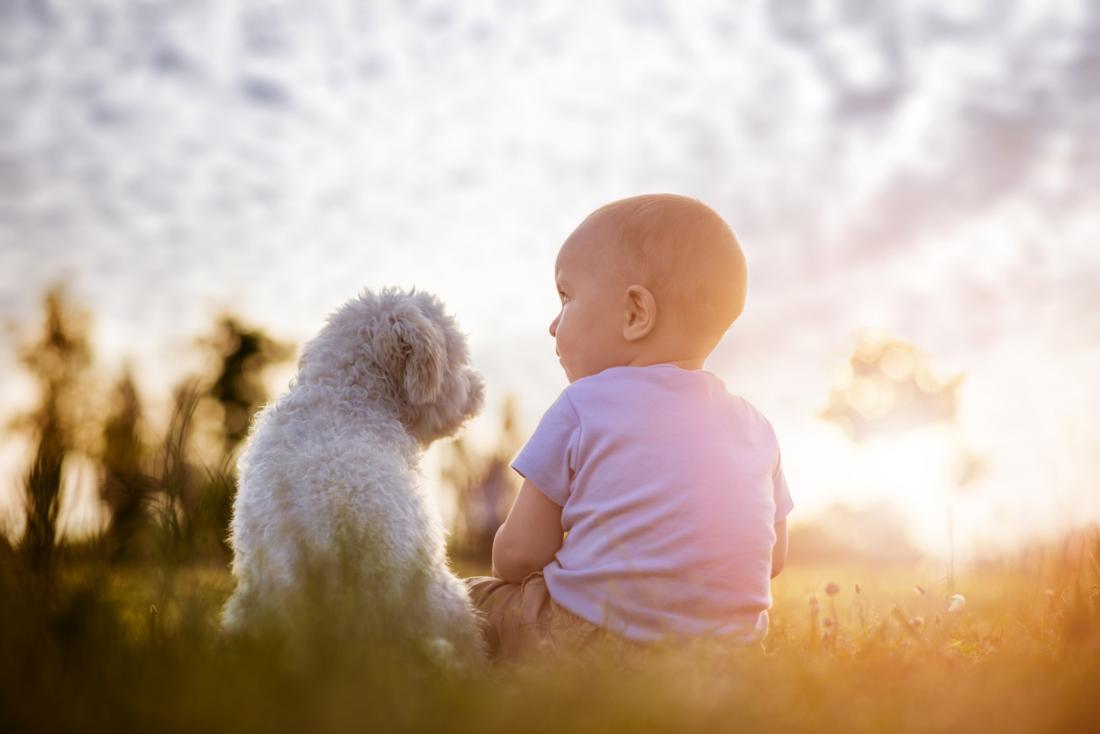 Trẻ em làm bạn với những chú chó có thể làm giảm nguy cơ mắc bệnh eczema, giảm các triệu chứng hen