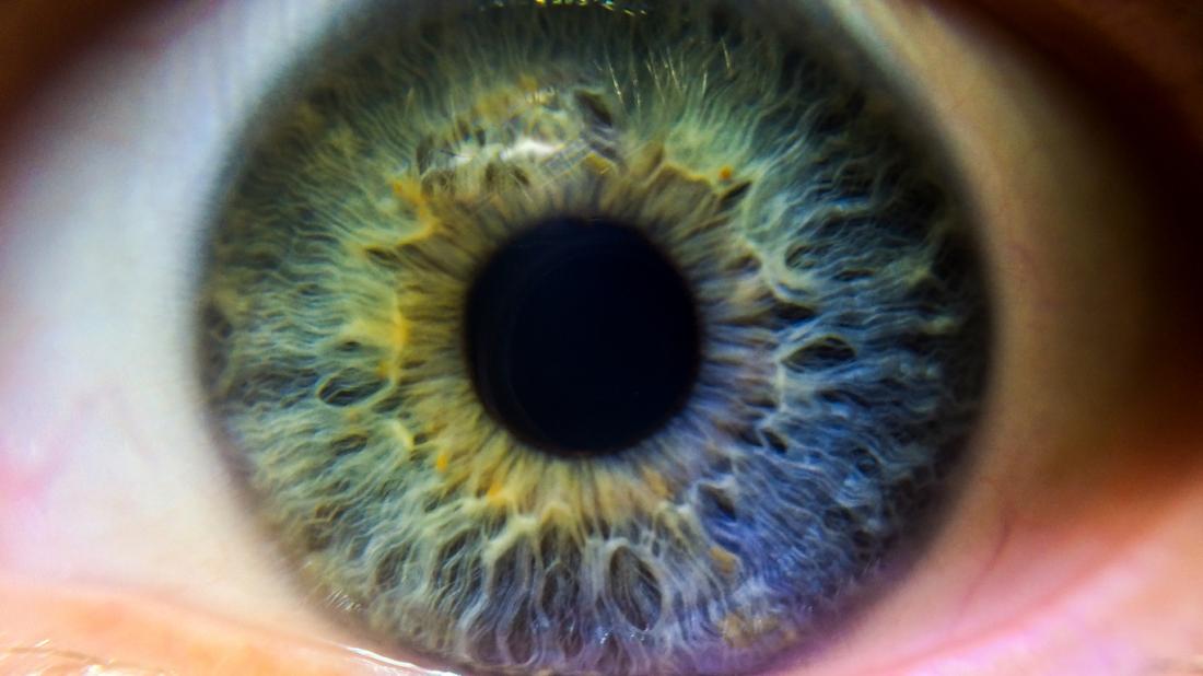 Màu nâu, xanh dương, xanh lá cây và màu hạt nhân: bí mật đằng sau màu mắt là gì?